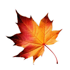 Fototapeta premium Autumn (AI Generated) 