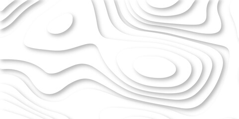 	
Background of a abstract white papercut background 3d realistic design use for ads banner and advertising print design vector. 3d topography relief. Vector topographic illustration.