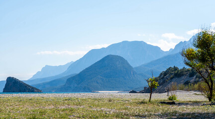 View of the mountains from the beach with a tree