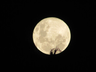 Fototapeta na wymiar A beautiful full moon on a dark night
