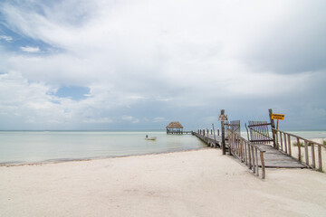 Hermoso paisaje en la orilla del mar 