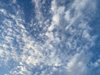 	秋の空