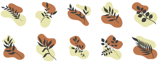 Fototapeta premium Boho Leaf Aesthetic