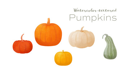 Watercolor textured digital illustrations of pumpkins / gourds to celebrate autumn