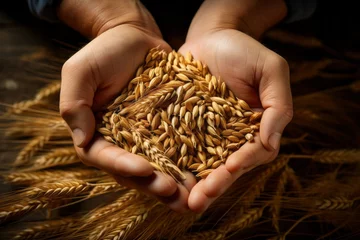 Fotobehang Macrofotografie Wheat in the hands of a farmer. Grain deal concept. Hunger and food security of the world.