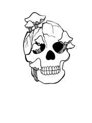 Halloween Skull overgrown with mushrooms as design element. Hand drawn digital illustration. Isolated on white background.