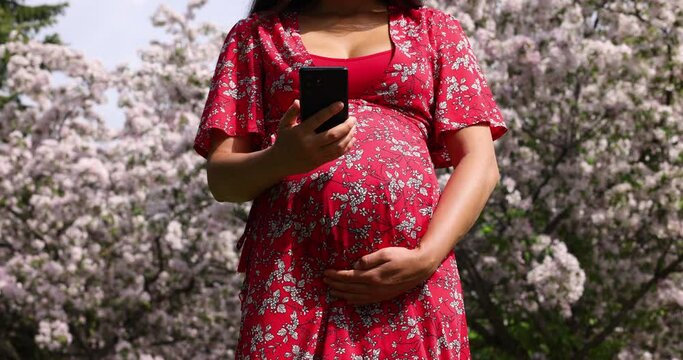 Pregnancy. Pregnant woman using phone in cherry blossom trees pink spring flowers. New season and new life concept. Woman in expecting baby living healthy lifestyle. Closeup of belly and phone.