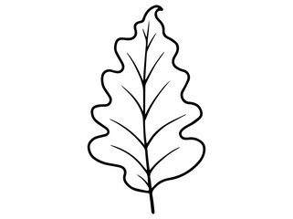 Leaves Sketch Line Art Illustration
