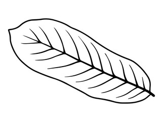 Hand Drawn Leaf Sketch Line Art Illustration
