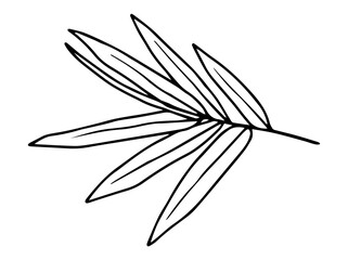 Tropical Leaves Line Art Illustration
