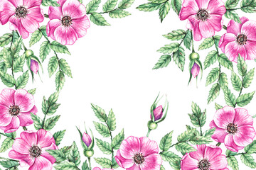 Watercolor rosehip frame template