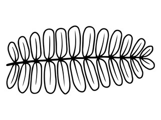 Botanical Leaves Line Art Illustration
