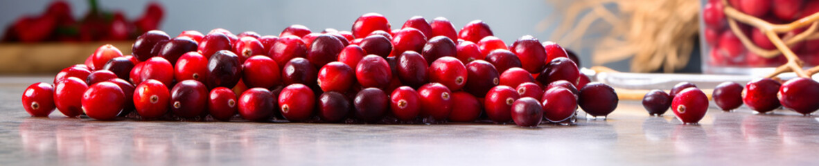 A Banner Photo of Cranberries on a Counter in a Modern Kitchen