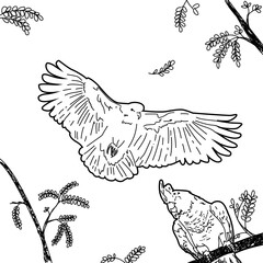Bird Illustration by Cheenie_Red Vented Cockatoo