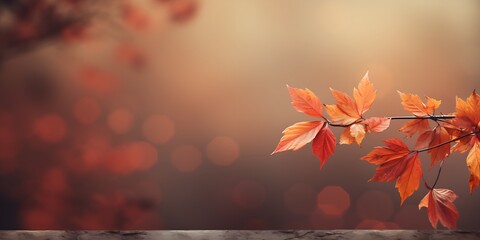 Autumn leaves, blur background