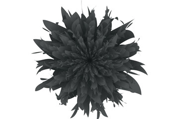 Flower Petal Vector Design With Transparent Background