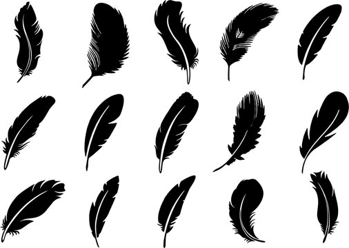 Feather icons set. Soft Feather icons isolated on white background. Easy to reuse in designing. Decorative objects.