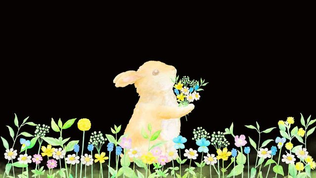 子うさぎが野花ブーケを渡すと、一面にカラフルな花畑が広がる。お祝いにぴったりなアルファ付きアニメーション。