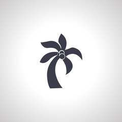 palm tree icon. palm isolated icon