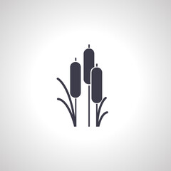 Reeds plant icon. reed isolated icon
