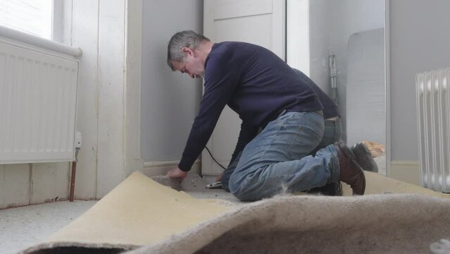 Carpenter cutting and removing old carpet from room ready for replacement