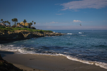 2023-08-16 THE LA JOLLA COASTLINE WITH GREEN VEGATION ON THE CLIFFS AND NICE BOUE WATER AND SKY WITH PELICANS FLYING ACROSS THE SCENE
