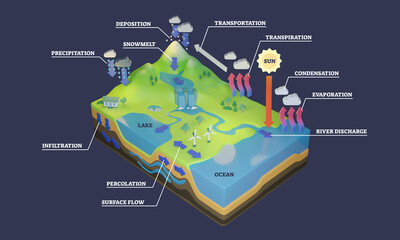 Water cycle diagram with rain flow circulation and in 3D illustration. Labeled geological scheme with deposition, precipitation, evaporation and condensation stages. Ecosystem and hydrologic circuit