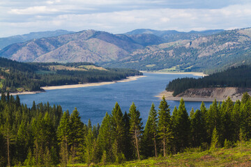 Fototapeta na wymiar Tranquil Pine Woodland by Lake Roosevelt on the Columbia River in Washington State