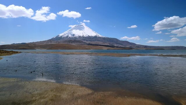 Aerial view of lake vegetation, Lauca National Park in Chile - rising top down, drone shot
