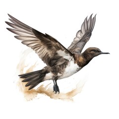 Bullers shearwater bird isolated on white. Generative AI