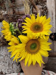 bouquet of sunflowers in a clay jug, rural nature