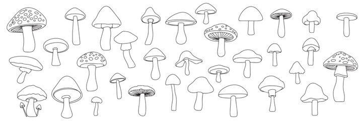Mushrooms set in doodle style. Collection of hand drawn mushrooms outline isolated on white background. Vector illustration. © clelia-clelia