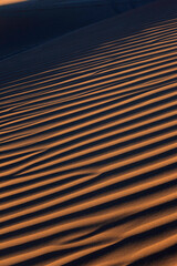 Strata patterns in sand dunes at sunset vertical