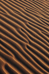 Detail of patterns made by lines in sand dunes vertical