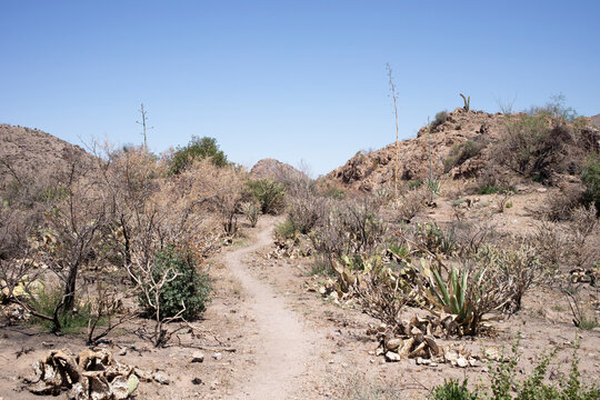 Trail through barren desert landscape