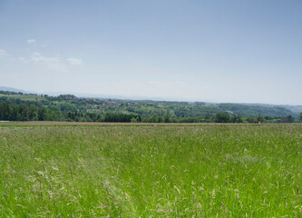 Schwarzwaldlandschaft. Wanderung rund um Raitbach (Schopfheim). Ebene und den Feldern zwischen Raitbach und Sattelhofweg. Blick auf das Dorf Kürnberg