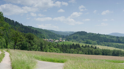 Schwarzwaldlandschaft. Wanderung rund um Raitbach (Schopfheim). Waldgebiet, Ebene und Feldern rund...