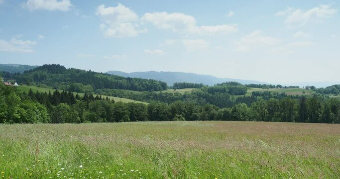 Schwarzwaldlandschaft. Wanderung rund um Raitbach (Schopfheim) am S&uuml;dhang der Hohen M&ouml;hr. Sattelhof und seltsame und bukolische Landschaften und Orte im Wiesental