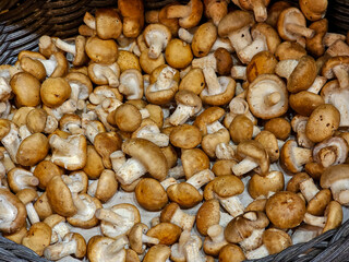 piles of shiitake mushrooms sold in supermarkets