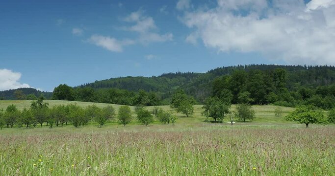 Schwarzwaldlandschaft. Wanderung rund um Raitbach (Schopfheim). Herrliche Landschaften aus H&uuml;geln, Wiesen und Obstg&auml;rten am Fu&szlig;e des Hohen M&ouml;hr
