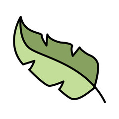 Leaf icon