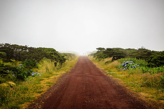 road in the field in Flores island, Azores