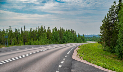 Asphalt road in nice coniferous forest.