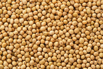 Soybean seeds (kacang kedelai), food ingredients, textured background
