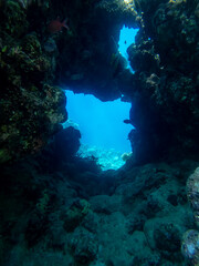 Exit from a cave in a coral reef of the Red Sea
