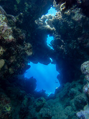 Fototapeta na wymiar Exit from a cave in a coral reef of the Red Sea
