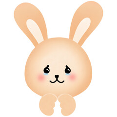 bunny