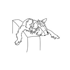 Vector drawing of a Yorkshire Terrier puppy. A sketch of a lying little dog