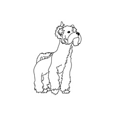 Vector drawing of a Yorkshire Terrier puppy. A sketch of a lying little dog