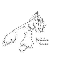 Vector drawing of a Yorkshire Terrier puppy. A sketch of a lying little dog